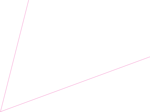 About Page Intro Vector