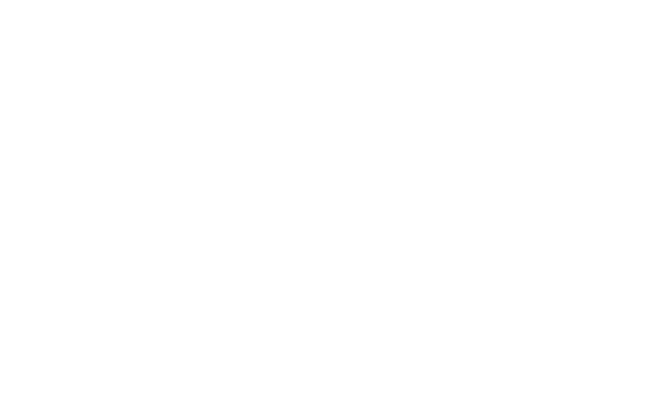 Mission Vector