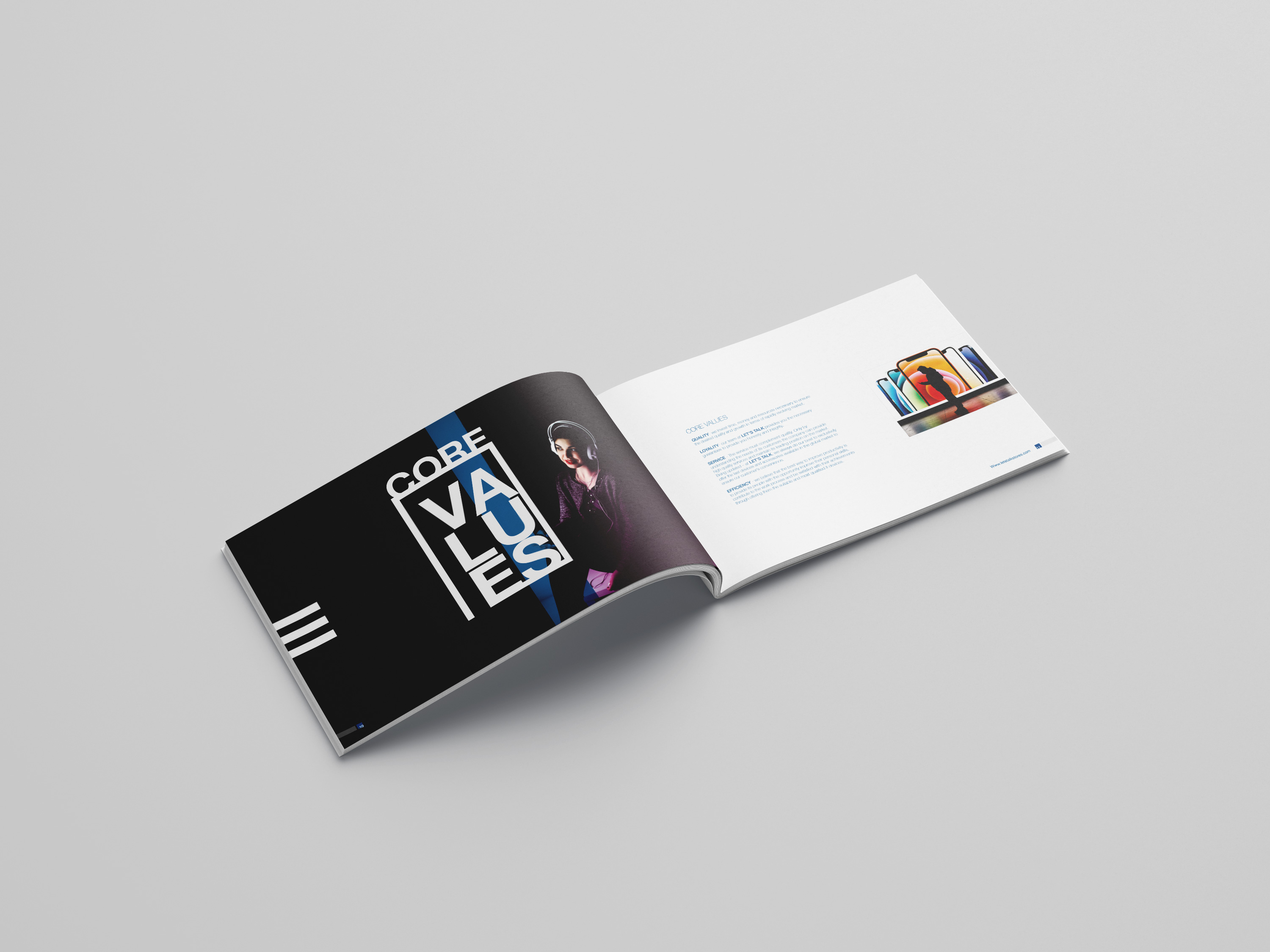 Project Gallery Item